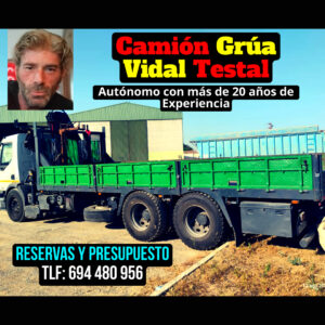 Gruista de Camión Jesús Vidal Testal 