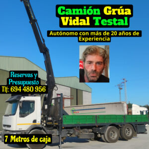 ¿Cuántos kilos levanta un camión pluma?