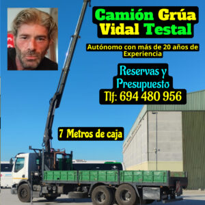 camion grua con jib