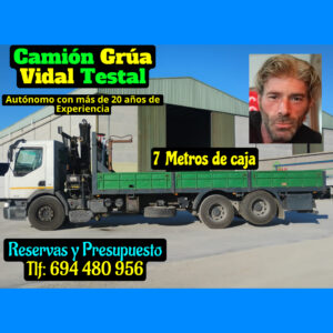 camion grua con pluma
