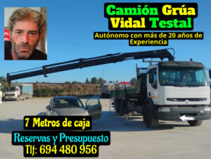 camion grua con jib