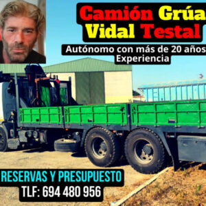 Alquiler de camión grúa económico en Sevilla